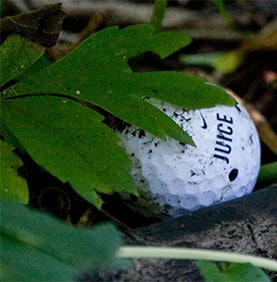 Golf Ball in Rough